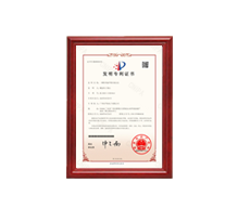 193X219 發(fā)明專(zhuān)利